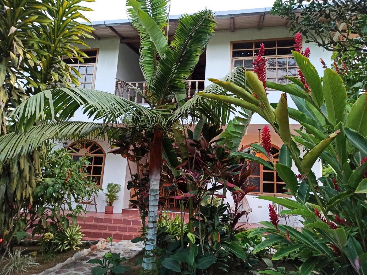 香蕉山林小屋 Puerto Misahuallí 外观 照片
