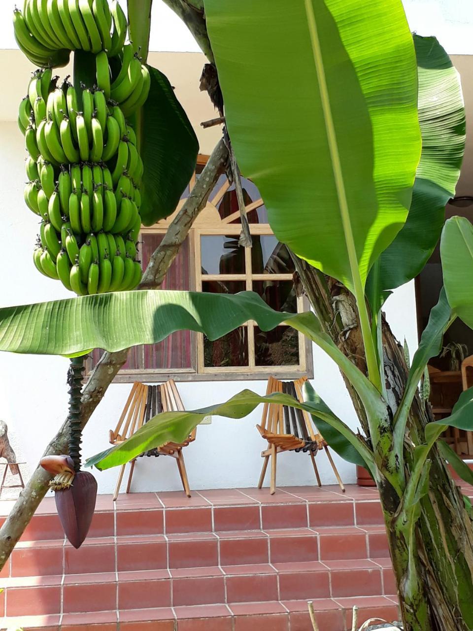 香蕉山林小屋 Puerto Misahuallí 外观 照片